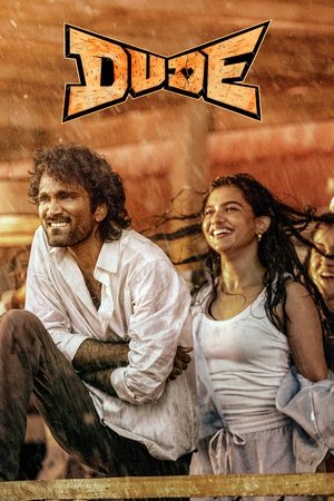 Dude (2025) WEBRIP Hindi (MULTI AUDIO) 720p – 480p – 1080p